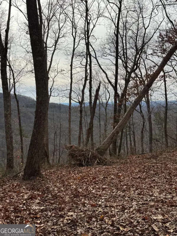 LOT 109A Folkstone Road, Talking Rock, GA 30175