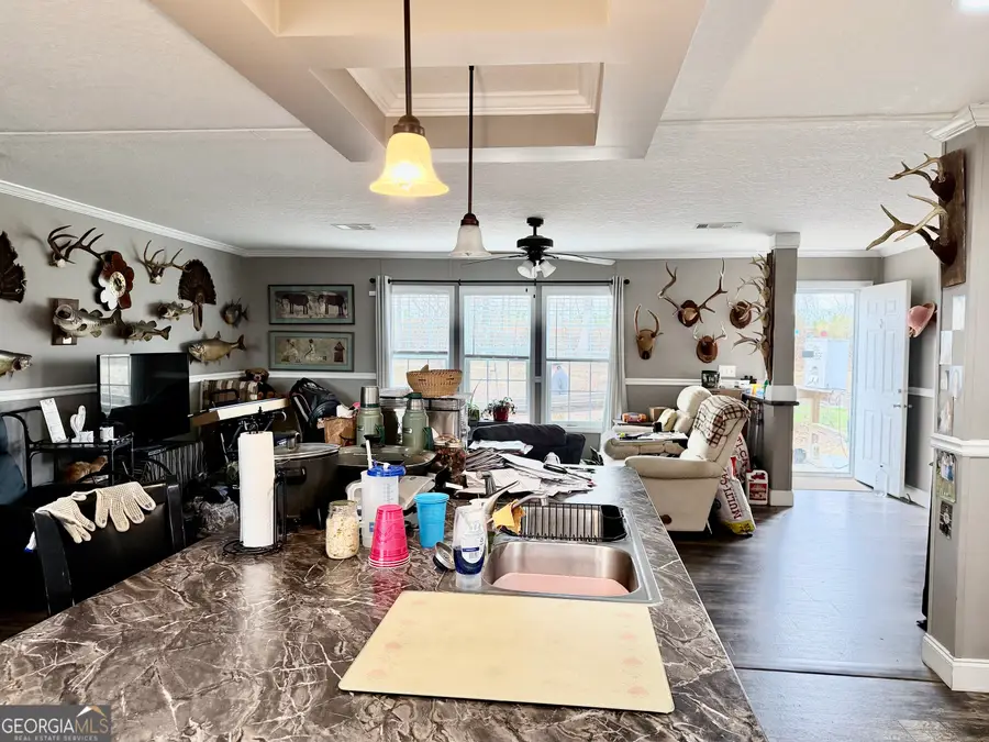 314 Lotts Creek Road, Glenwood, GA 30428 - Image #3