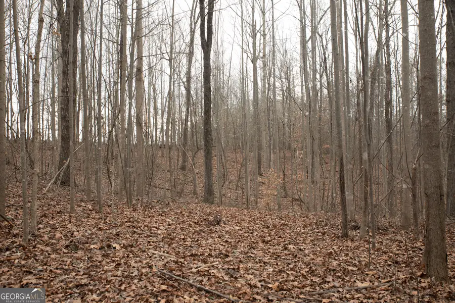 0 Kesler, Carnesville, GA 30521 - Image #2