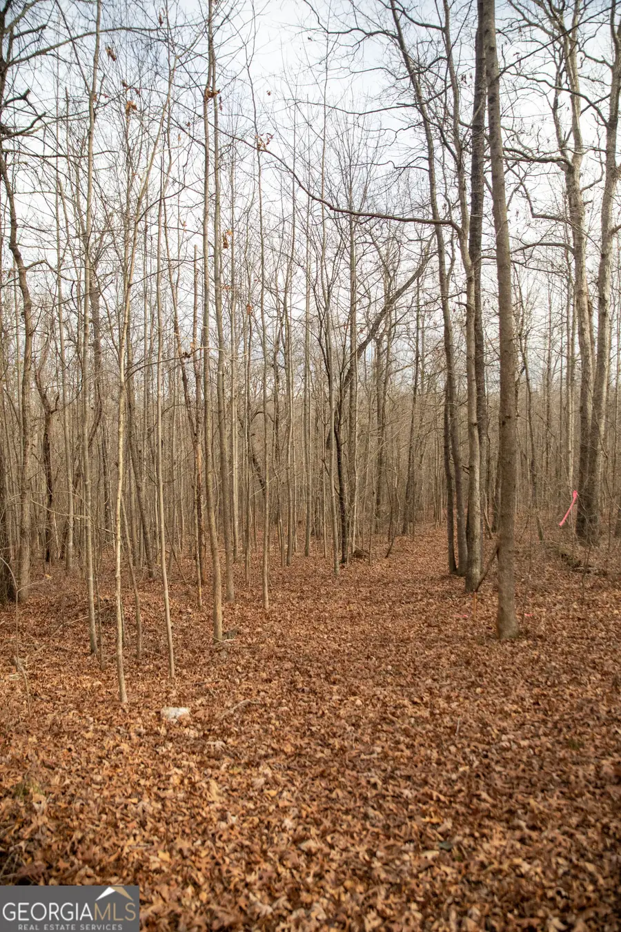 0 Kesler, Carnesville, GA 30521 - Image #3