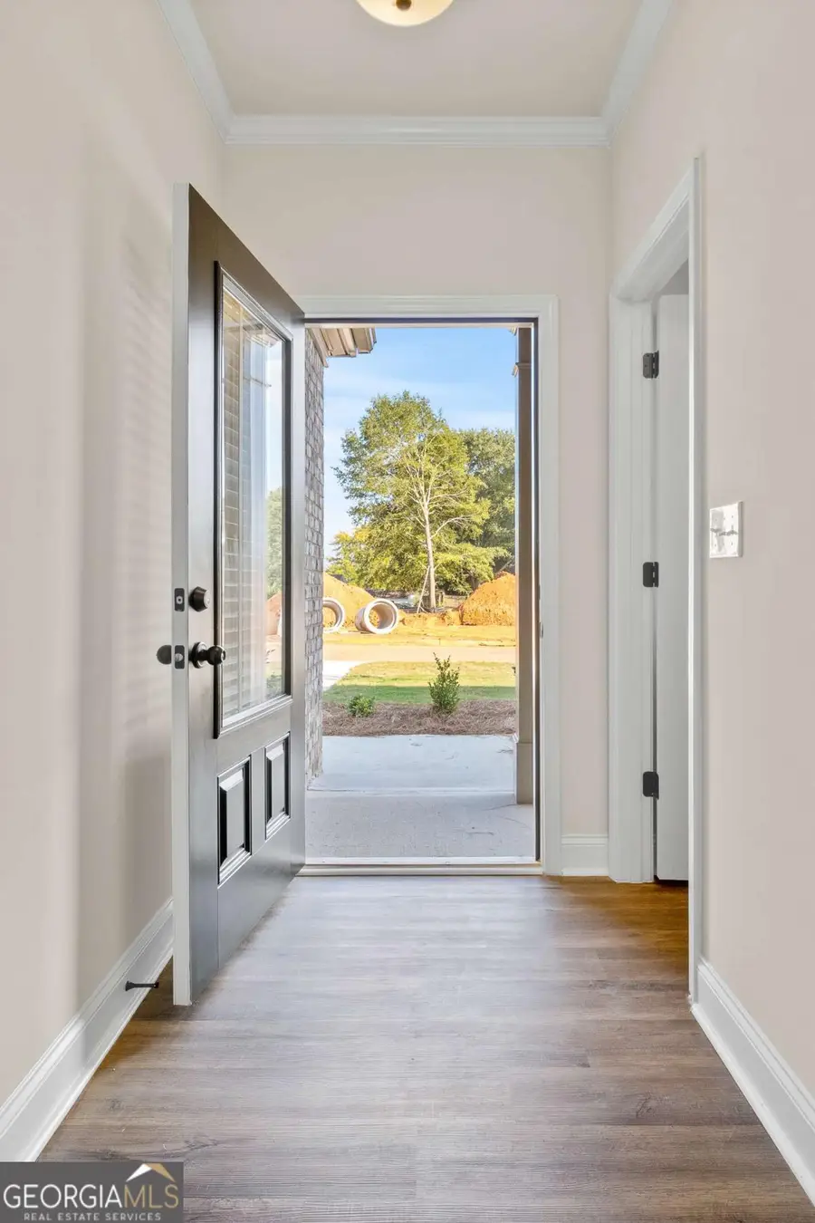 102 Douglas Fir Drive #LOT 110, Jackson, GA 30233 - Image #3