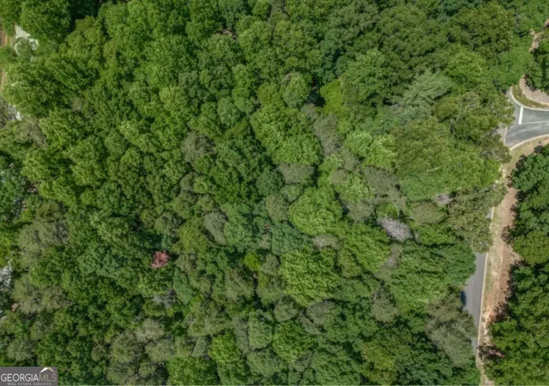 0 Plum Lane, Clarkesville, GA 30523 - Image #3