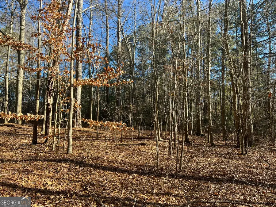 LOT 13 Harlan Lane Road, Villa Rica, GA 30180 - Image #3