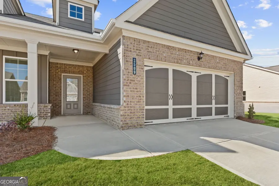 2509 Anhinga Drive, Loganville, GA 30052 - #3