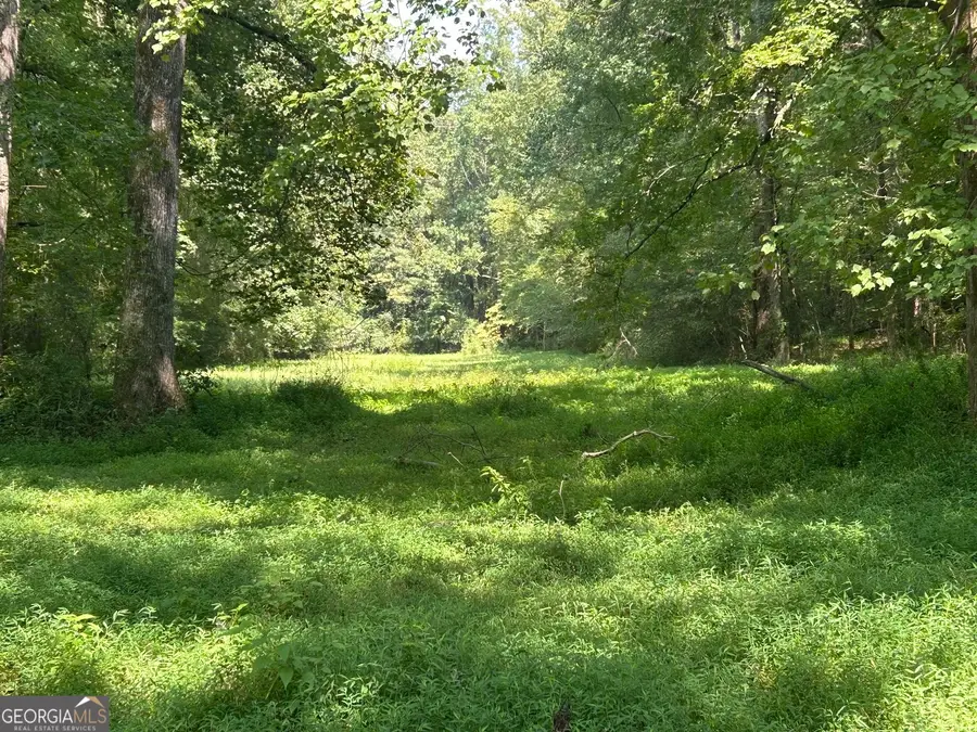 0 Attaway Road-9.22, Bowdon, GA 30108 - Image #2