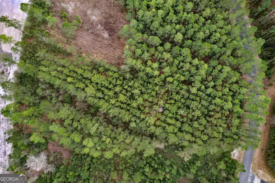 LOT 94 Waverly West Lane, White Oak, GA 31568 - Image #2