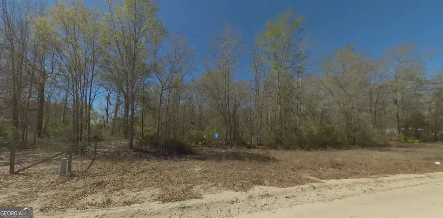 200 Gobblers Run, Nahunta, GA 31553 - Image #2