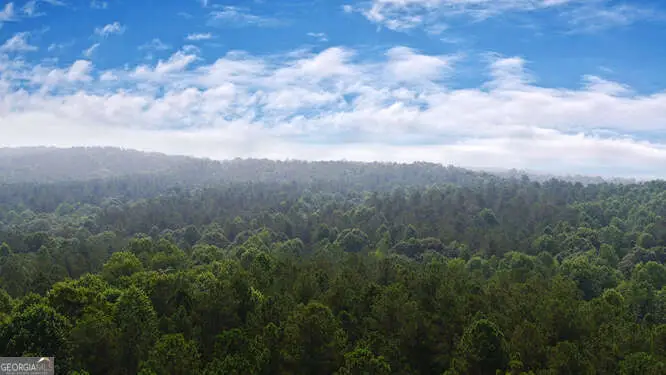 0 Mt. Sinai Road, Lula, GA 30554 - Image #1