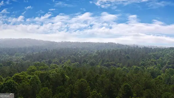 0 Mt. Sinai Road, Lula, GA 30554