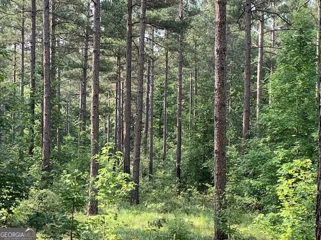 0 Mt. Sinai Road, Lula, GA 30554 - Image #2