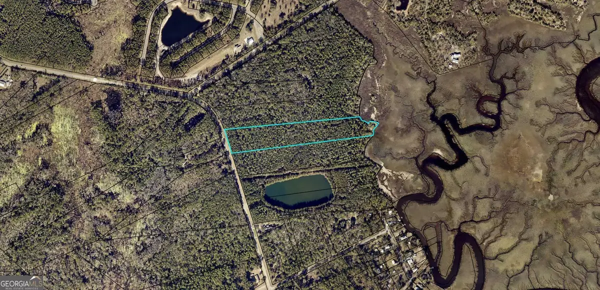 0 Dover Bluff Road, Waverly, GA 31565 - Image #1