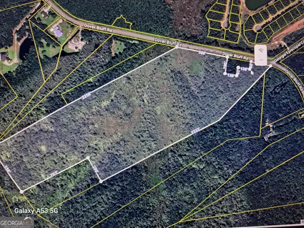 53+ ACRES Dover Bluff Road, Waverly, GA 31565
