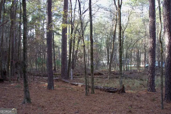 2991 Carey Station Road, Greensboro, GA 30642