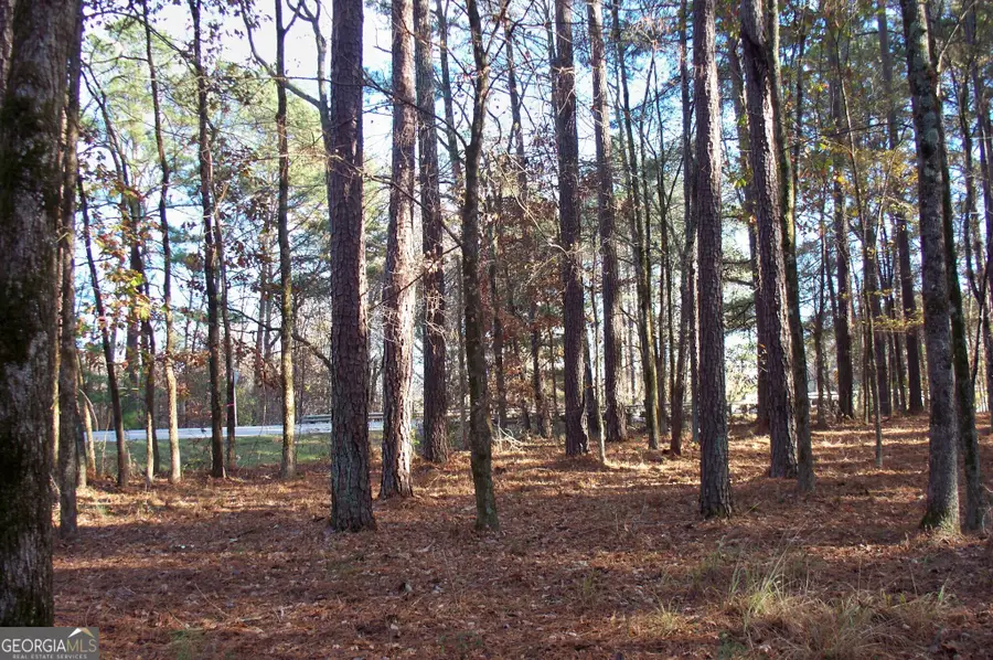 2991 Carey Station Road, Greensboro, GA 30642 - Image #2