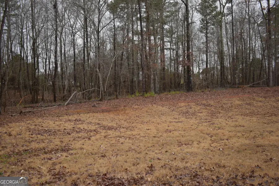 145 Ducati Drive, McDonough, GA 30252 - Image #3