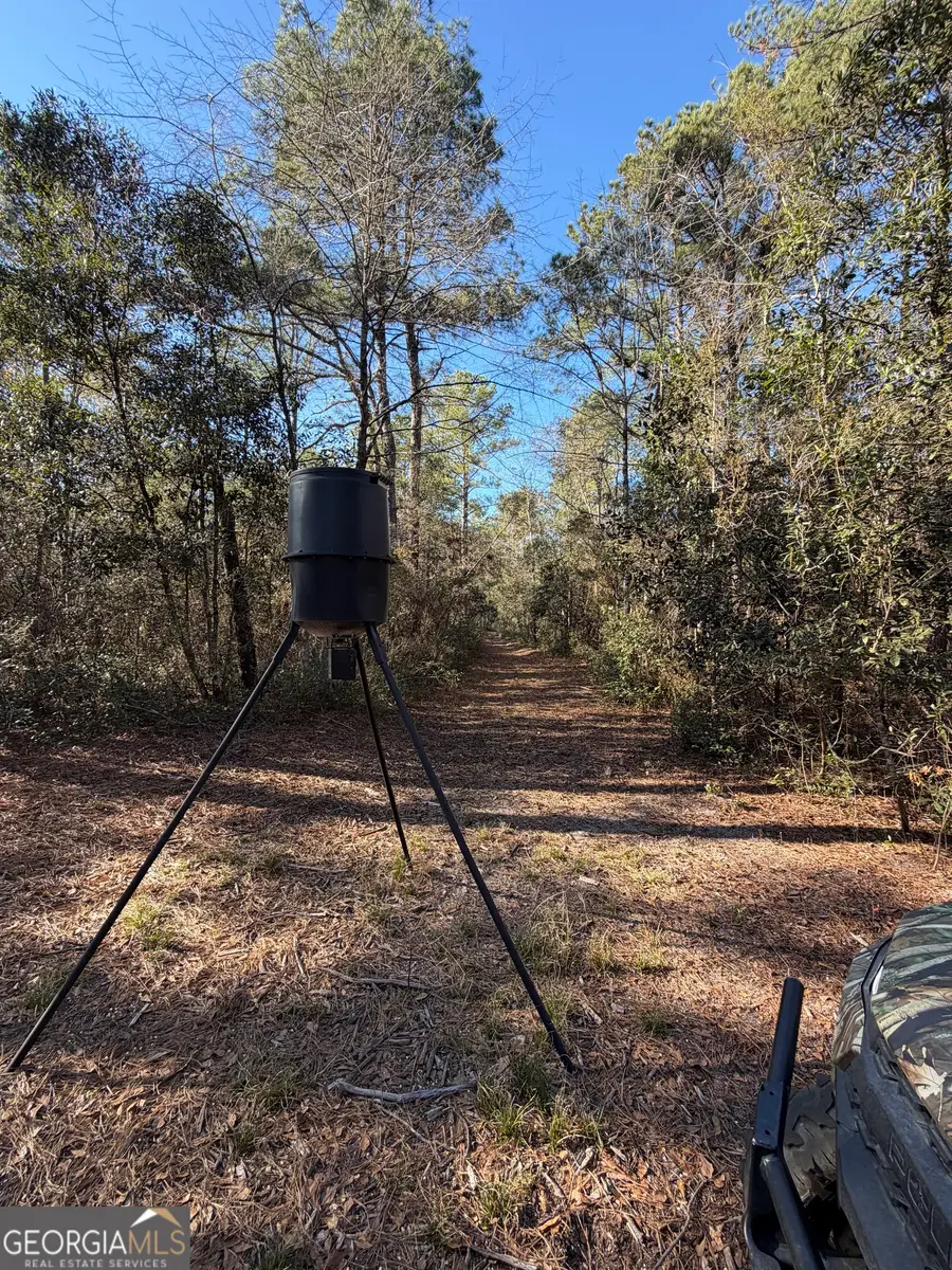 3833 Old Louisville Road, Guyton, GA 31312 - Image #3