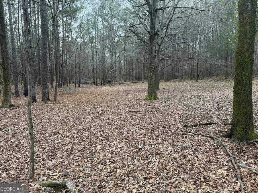 0 Bagwell Road, Molena, GA 30258 - Image #2