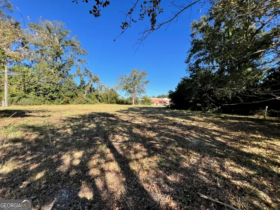 723 1/2 S Main Street, Statesboro, GA 30458 - #3