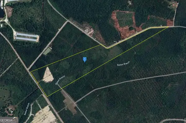 6400 Old Moniac Road, St George, GA 31562