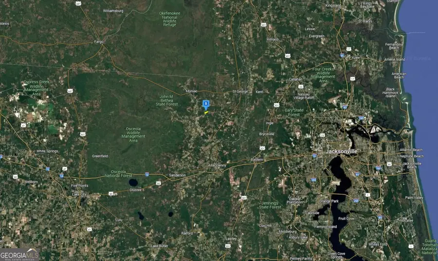 6400 Old Moniac Road, Saint George, GA 31562 - Image #3