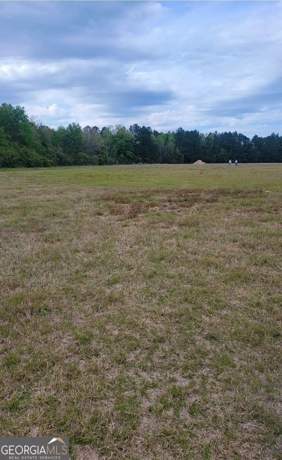 481 & 523 NE T Morris Road, Ludowici, GA 31316 - Image #2