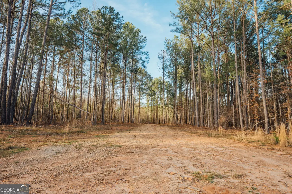 28.61 ACRES Sandy Creek Road, Madison, GA 30650 - Image #1