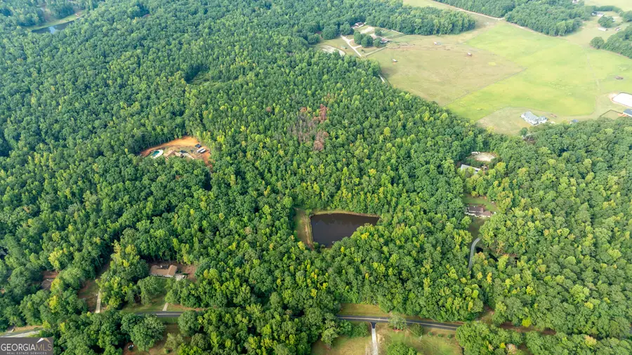 58.99 ACRES Bear Creek Road, Moreland, GA 30259 - Image #3