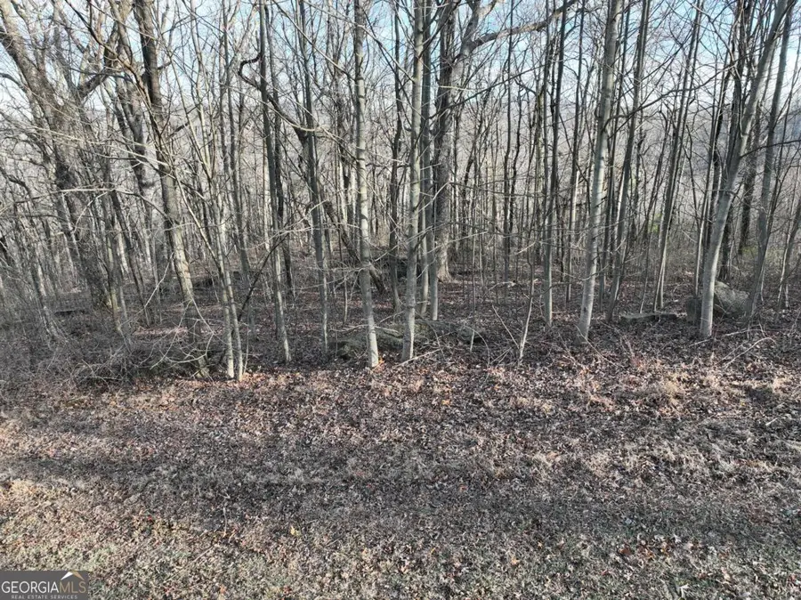 275 Andes Ridge, Ellijay, GA 30536 - Image #2