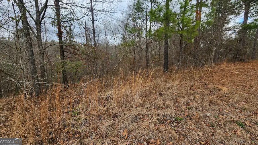 0 Ethridge Place, Gray, GA 31032 - Image #3