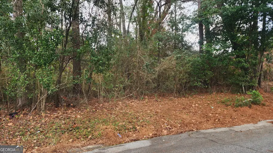 0 Champion Drive, Macon, GA 31211 - Image #3