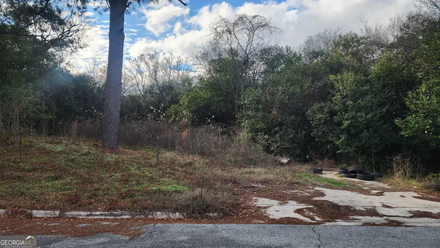 2573 Peacock Street, Macon, GA 31206 - Image #3