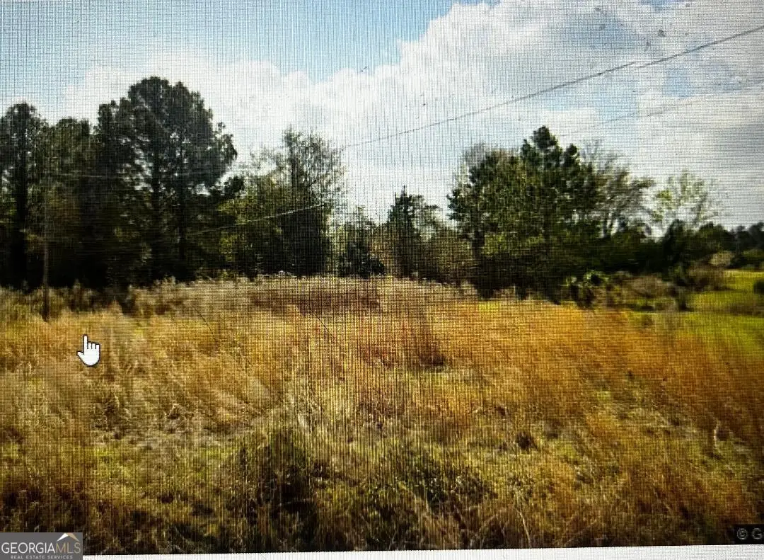 841 Griffin Road, Baxley, GA 31513 - Image #1