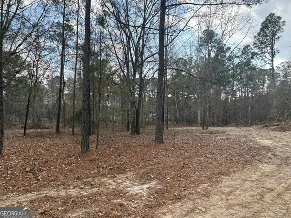 0 Ga Hwy 338 (taylor Grocery Rd), Cadwell, GA 31009