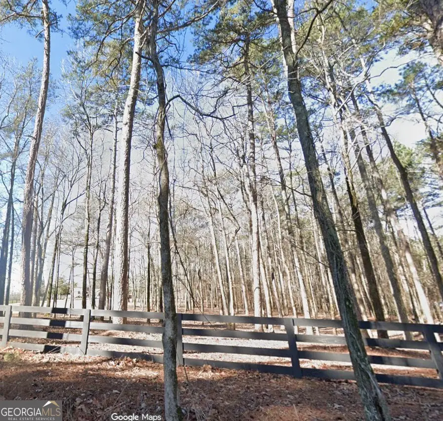 6.927 AC Quarters Road, Fayetteville, GA 30215 - #3