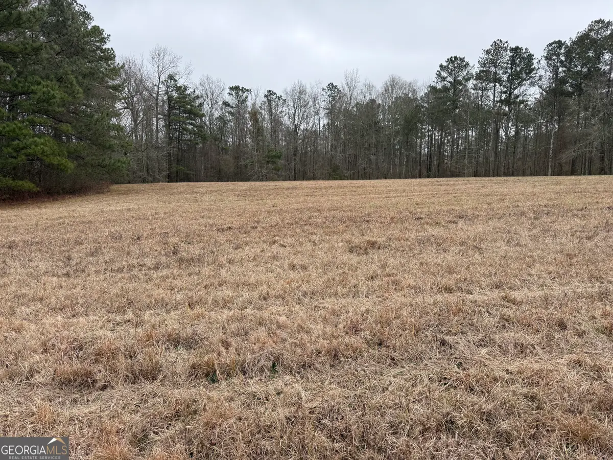 0 Highway 36 W, Barnesville, GA 30204 - Image #1