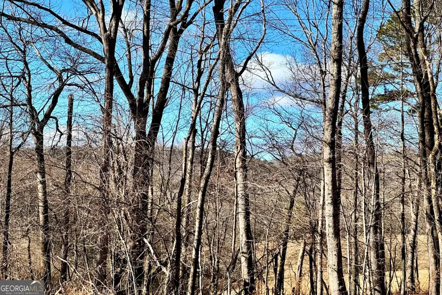 954 The Orchard Road, Clarkesville, GA 30523 - #3