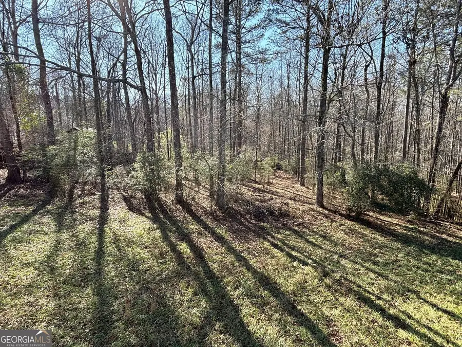 4735 Hidden Creek Court, Loganville, GA 30052 - Image #2