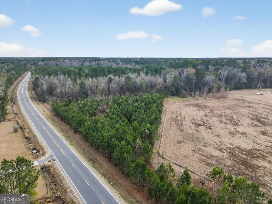 LOT 5 Mccall Road, Rincon, GA 31326 - Image #2