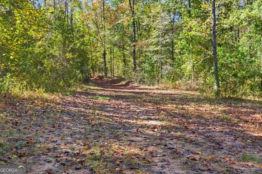 0 Broad River Road, Toccoa, GA 30577 - Image #3