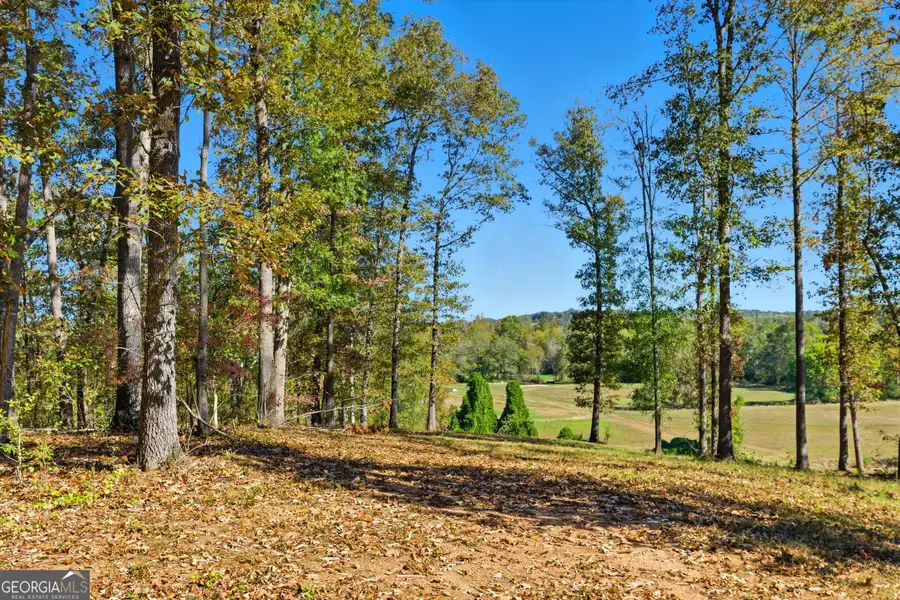 0 Broad River Rd, Eastanollee, GA 30538 - Image #2