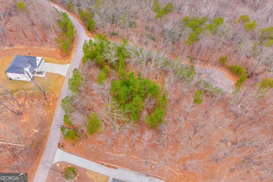 0 Planters Pointe Lane #LOT 35, Banks, GA 30511 - Image #3