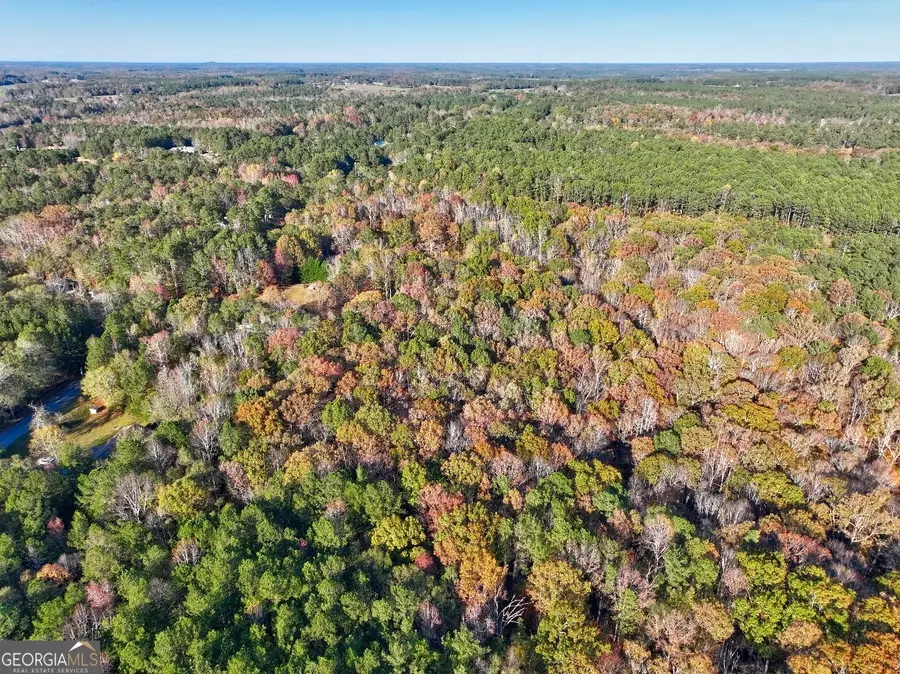 0 Browning Shoals Road #TRACT 1A & 1B, Social Circle, GA 30025 - Image #3