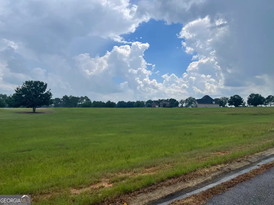 44 Crabapple Drive, Hawkinsville, GA 31036 - Image #3