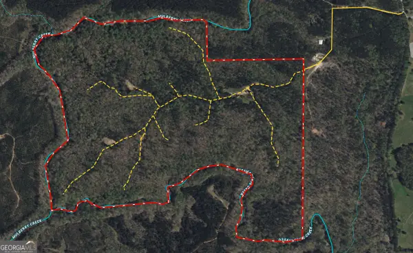 226.04+/-AC Kingsboro Road, Hamilton, GA 31811