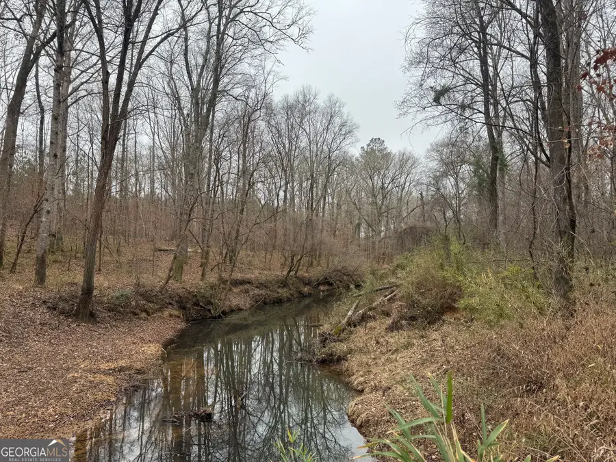 226.04+/-AC Kingsboro Road, Hamilton, GA 31811 - Image #2