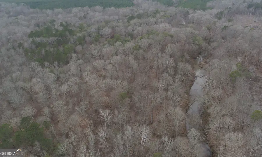 226.04+/-AC Kingsboro Road, Hamilton, GA 31811 - Image #3