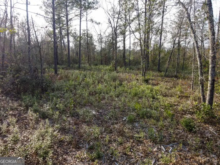 0 Floyd Road #LOT 8, Pembroke, GA 31321 - Image #2
