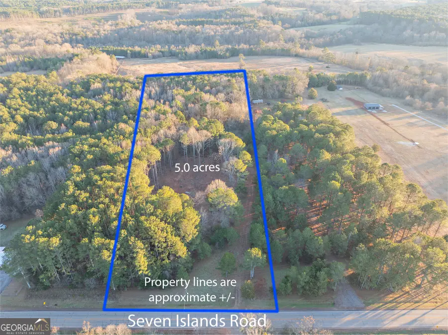 TRACT 4 Seven Islands Road, Madison, GA 30650 - Image #2