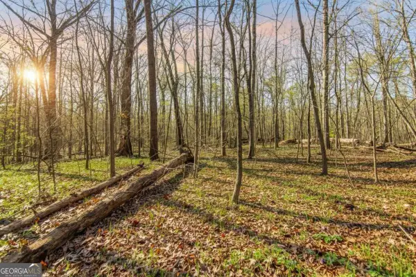 6 ACRES Flat Creek Road, Ellijay, GA 30540