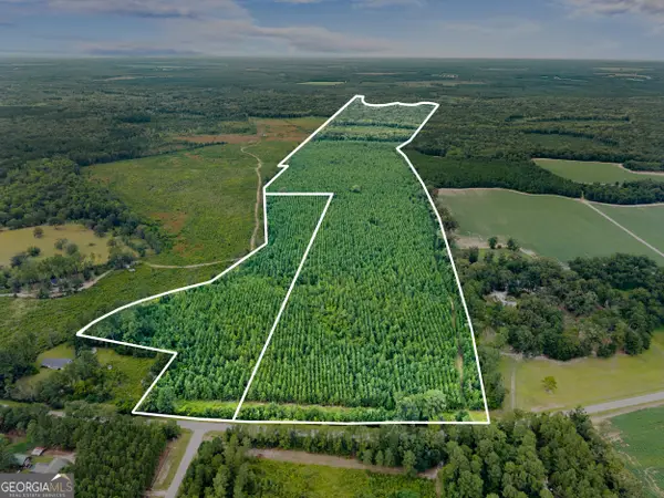 232 ACRES Old River Road N, Statesboro, GA 30461